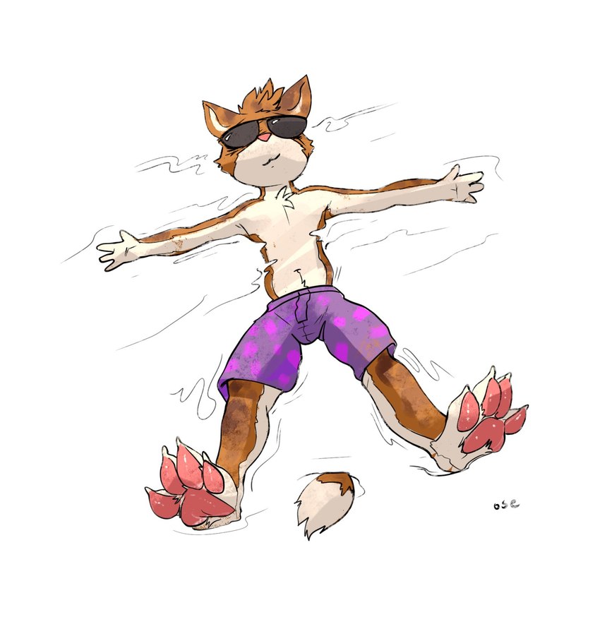 anthro barefoot bottomwear brown_body brown_fur brown_hair cheek_tuft clothed clothing eyewear facial_tuft feet front_view fur glasses hair male mouth_closed obscured_eyes partially_submerged pawpads purple_bottomwear purple_clothing purple_shorts red_pawpads short_hair shorts solo sunglasses topless tuft wearing_glasses white_body white_fur oselotti domestic_cat felid feline felis mammal 2023 hi_res signature