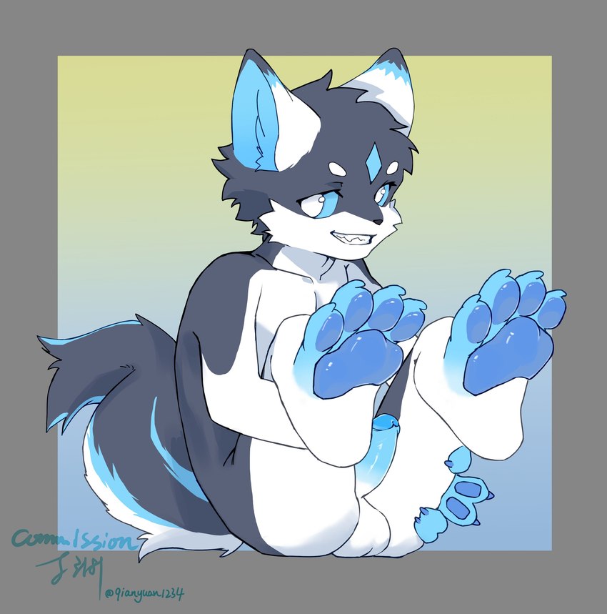 anthro arm_around_legs balls bent_over black_body black_fur blue_body blue_pawpads blue_scales erection foreskin fur genitals grin hand_on_leg humanoid_genitalia humanoid_penis kemono legs_up male nude pawpads penis retracted_foreskin scales sitting smile solo three-quarter_view white_body white_fur young qianyuan1234 jehy_black canid canine canis mammal wolf absurd_res hi_res signature