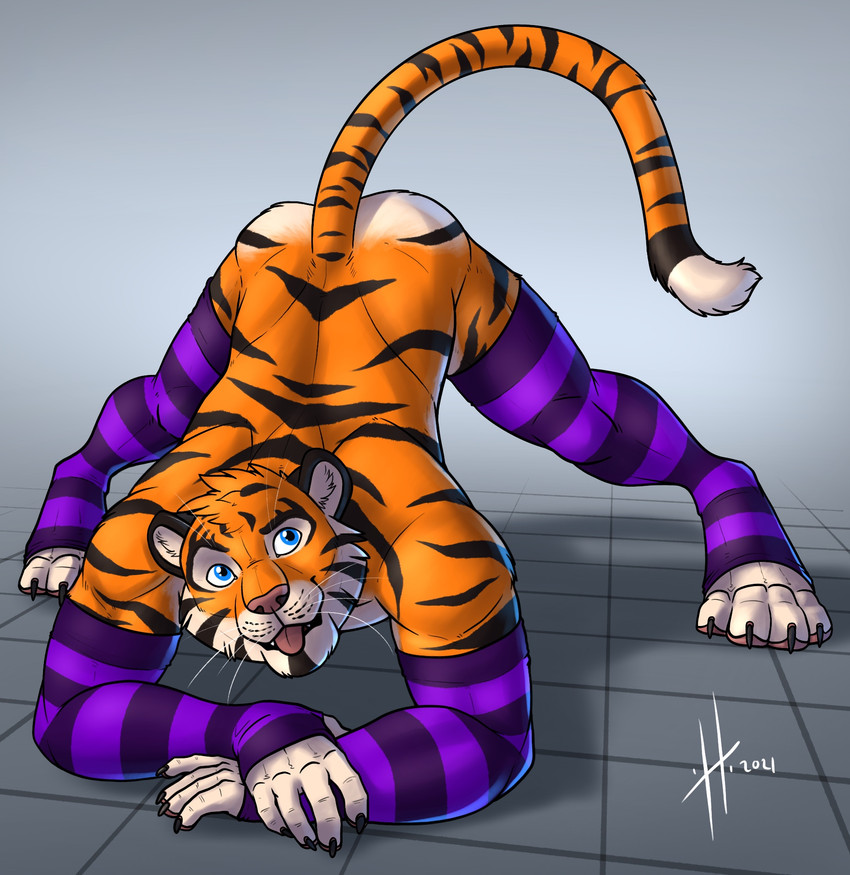 anthro armwear ass_up athletic athletic_anthro athletic_male black_claws black_stripes blue_eyes claws clothed clothing crossdressing finger_claws fur jack-o'_pose legwear looking_at_viewer male male_anthro markings mostly_nude open_mouth orange_body orange_fur pattern_armwear pattern_clothing pattern_legwear pose purple_armwear purple_clothing purple_legwear red_tongue simple_background solo striped_armwear striped_back striped_clothing striped_legs striped_legwear striped_markings striped_shoulders striped_tail stripes tail tail_markings toe_claws tongue tongue_out white_body white_fur hufnaar hufnaar_(character) felid mammal pantherine tiger 2021 dated hi_res