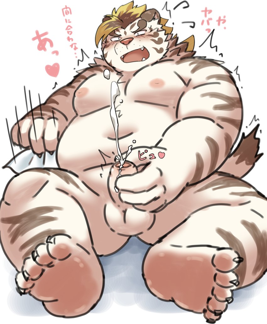 anthro balls belly big_belly blush bodily_fluids cum ejaculation erection fur genital_fluids genitals humanoid_genitalia humanoid_hands humanoid_penis kemono male masturbation moobs nipples overweight overweight_male penis sitting solo text white_body white_fur ptcmtr lifewonders tokyo_afterschool_summoners licho_(tas) felid mammal pantherine tiger 2021 hi_res japanese_text