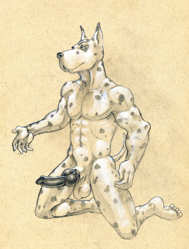 abs animal_genitalia animal_penis anthro balls biceps big_penis biped canine_genitalia canine_penis erection fur genitals kneeling knot looking_at_viewer male markings muscular muscular_anthro muscular_male nipples nude obliques pecs penis pose presenting sheath solo spots spread_legs spreading triceps vein tush_(artist) harlem_(character) canid canine canis domestic_dog great_dane mammal mastiff molosser sketch