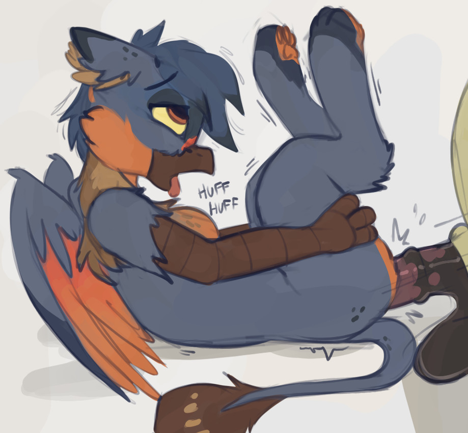 anal animal_genitalia animal_penis duo equine_genitalia equine_penis feral from_front_position genitals lying male male/male missionary_position on_back penis sex marsminer hasbro my_little_pony mythology avian equid equine gryphon horse mammal mythological_avian mythological_creature pony