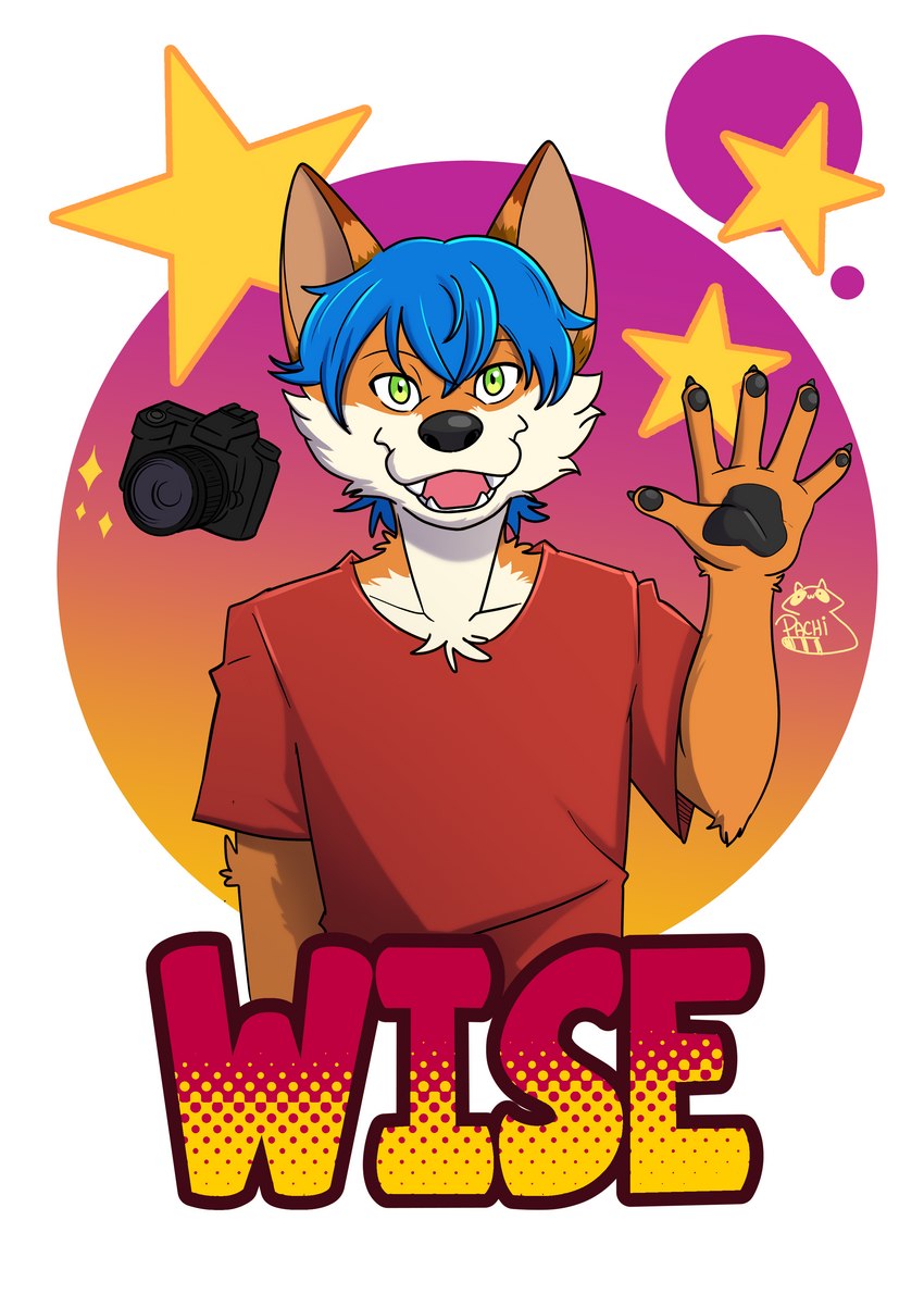 anthro blue_hair camera clothing green_eyes hair male red_clothing shirt solo t-shirt topwear pachi_mapache wise_(wiseesp) canid canine culpeo_fox fox mammal south_american_fox absurd_res hi_res