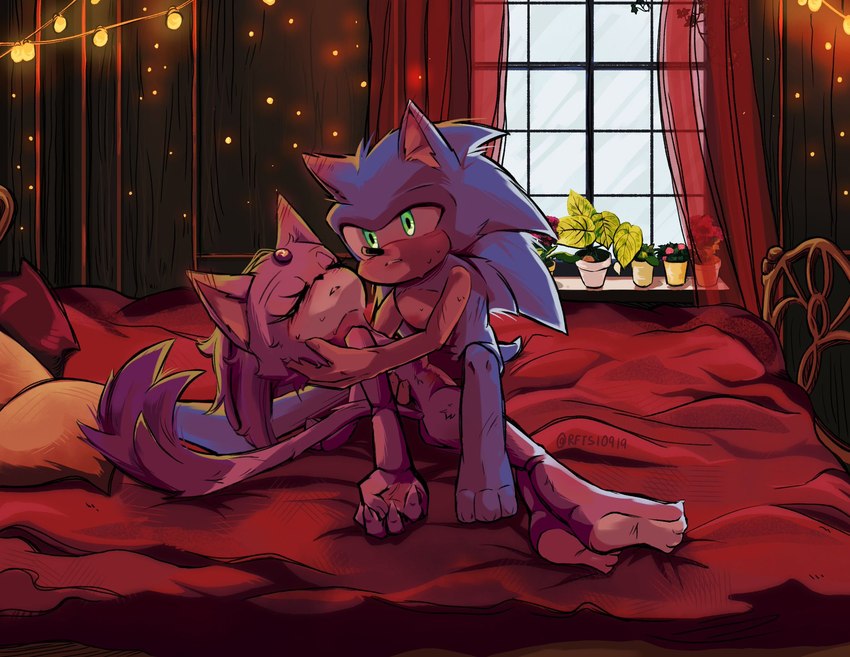 after_sex anthro bed bed_sheet bedding bedroom bodily_fluids duo eyes_closed female forehead_gem furniture gem green_eyes male nude pillow sweat tail window rfts10919 sega sonic_the_hedgehog_(series) blaze_the_cat sonic_the_hedgehog domestic_cat eulipotyphlan felid feline felis hedgehog mammal hi_res