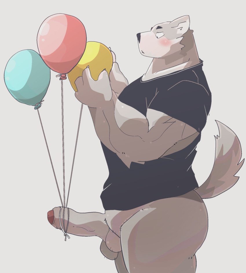 anthro attached_to_balloon balloon balls blush clothing erection foreskin genitals holding_balloon holding_object humanoid_genitalia humanoid_hands humanoid_penis inflatable kemono male penis shirt simple_background solo topwear dumdum canid canine canis domestic_dog mammal 2021 hi_res