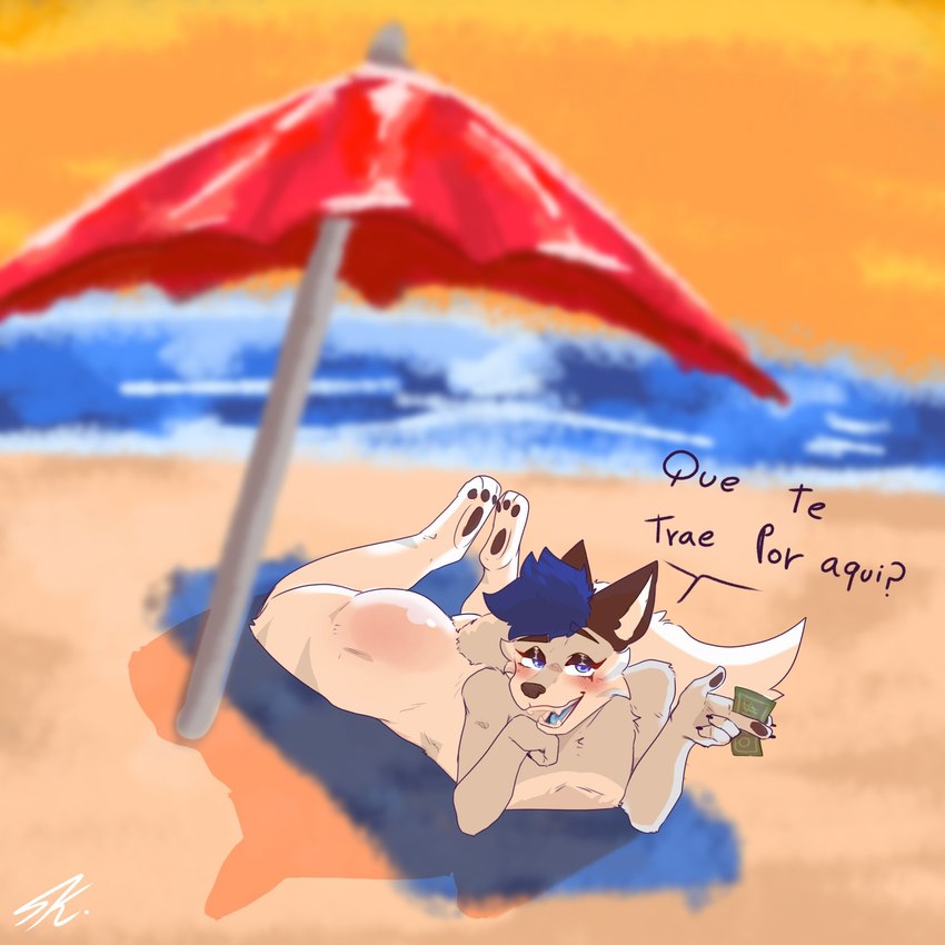 anthro beach beach_towel beach_umbrella black_body black_ears black_fur black_pawpads blue_eyes blue_hair blue_tongue blush body_blush butt butt_blush eyebrows facial_tuft fur grey_body grey_fur hair holding_money holding_object inner_ear_fluff looking_at_viewer lying male money nude on_front open_mouth parasol pawpads raised_eyebrow sand sea solo sunset tail talking_to_viewer teeth text tongue towel tuft water white_body white_fur kenunsoy snowy_(snowydafoxx) arctic_fox canid canine fox mammal true_fox 1:1 hi_res signature spanish_text translated