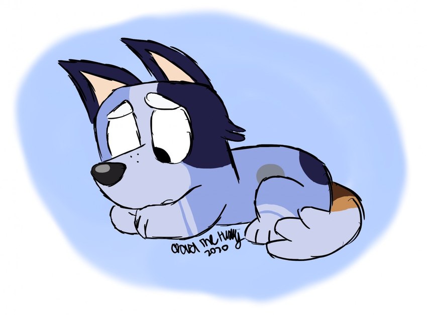 socks heeler (bluey (series)) created by huskycloud