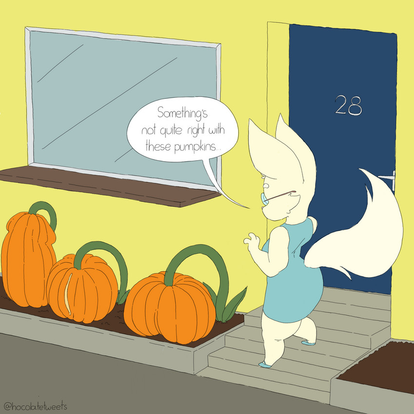 anthro clothing door eyewear female flats_(shoes) fluffy fluffy_tail food footwear fruit glass glasses long_ears outside plant pumpkin pumpkin_patch shoes short_stack solo steps tail text wide_hips window hocolatemilk zoe_(hocolatemilk) canid canine fennec_fox fox mammal true_fox 1:1 english_text hi_res