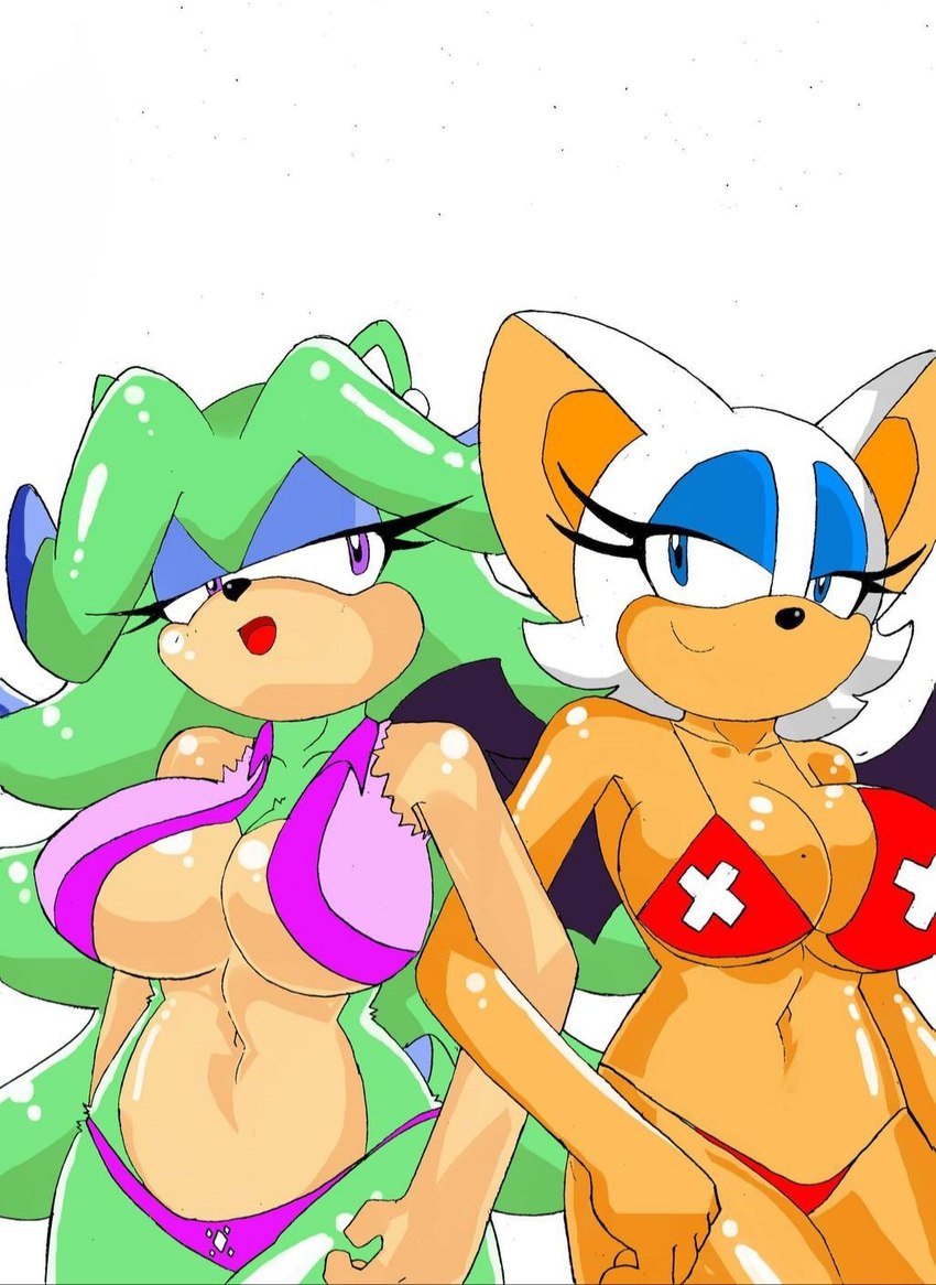 anthro big_breasts bikini breasts clothed clothing duo female hair lifeguard membrane_(anatomy) membranous_wings simple_background swimwear two-piece_swimsuit wings superbunnygt archie_comics sega sonic_the_hedgehog_(archie) sonic_the_hedgehog_(comics) sonic_the_hedgehog_(series) breezie_the_hedgehog breezie_the_hedgehog_(archie) rouge_the_bat bat eulipotyphlan hedgehog mammal colored hi_res