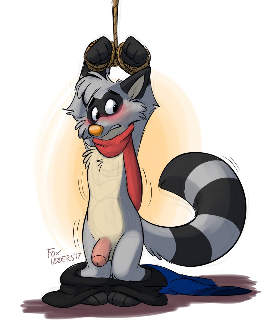 anthro balls bdsm belly blush bondage bottomwear bottomwear_down bound chest_tuft clothed clothing embarrassed foreskin genitals hands_above_head male nude pants pants_down partially_clothed penis rope scarf solo tuft orlandofox ringo_raccoon mammal procyonid raccoon