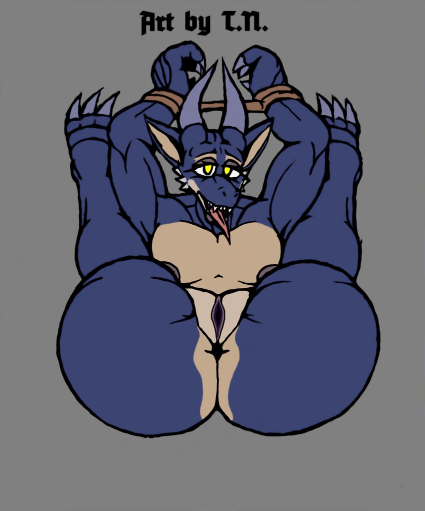 3_toes ahegao anthro anus bdsm bedroom_eyes big_butt blue_body blue_scales bondage bound breasts butt claws countershade_ears countershade_face countershade_torso countershading cuff_(restraint) duo fangs fantasy feet female flat_chested genitals grey_lips grey_nipples hands_behind_head hands_tied horn lips looking_at_viewer looking_pleasured lying muscular muscular_female muscular_sub narrowed_eyes nipples nude on_back plantigrade presenting presenting_anus presenting_hindquarters presenting_pussy pussy red_body red_scales restrained restraints scales seductive shackles sharp_teeth small_breasts soles solo spreader_bar submissive submissive_female tan_body tan_scales teeth thick_thighs toe_claws toes tongue tongue_out wide_hips yellow_eyes t.n. kobold reptile scalie