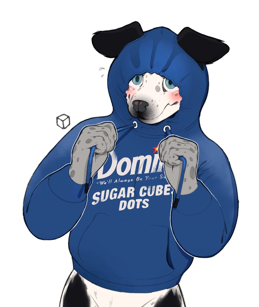 anthro black_body black_fur blue_clothing blue_hoodie blue_topwear blush bottomless clothed clothing clothing_pull floppy_ears fur grey_body grey_fur hoodie hoodie_only hoodie_pull looking_at_viewer male markings partially_clothed shy simple_background solo spots spotted_body spotted_fur text topwear topwear_only topwear_pull white_body white_fur kureto canid canine fox mammal digital_media_(artwork) english_text