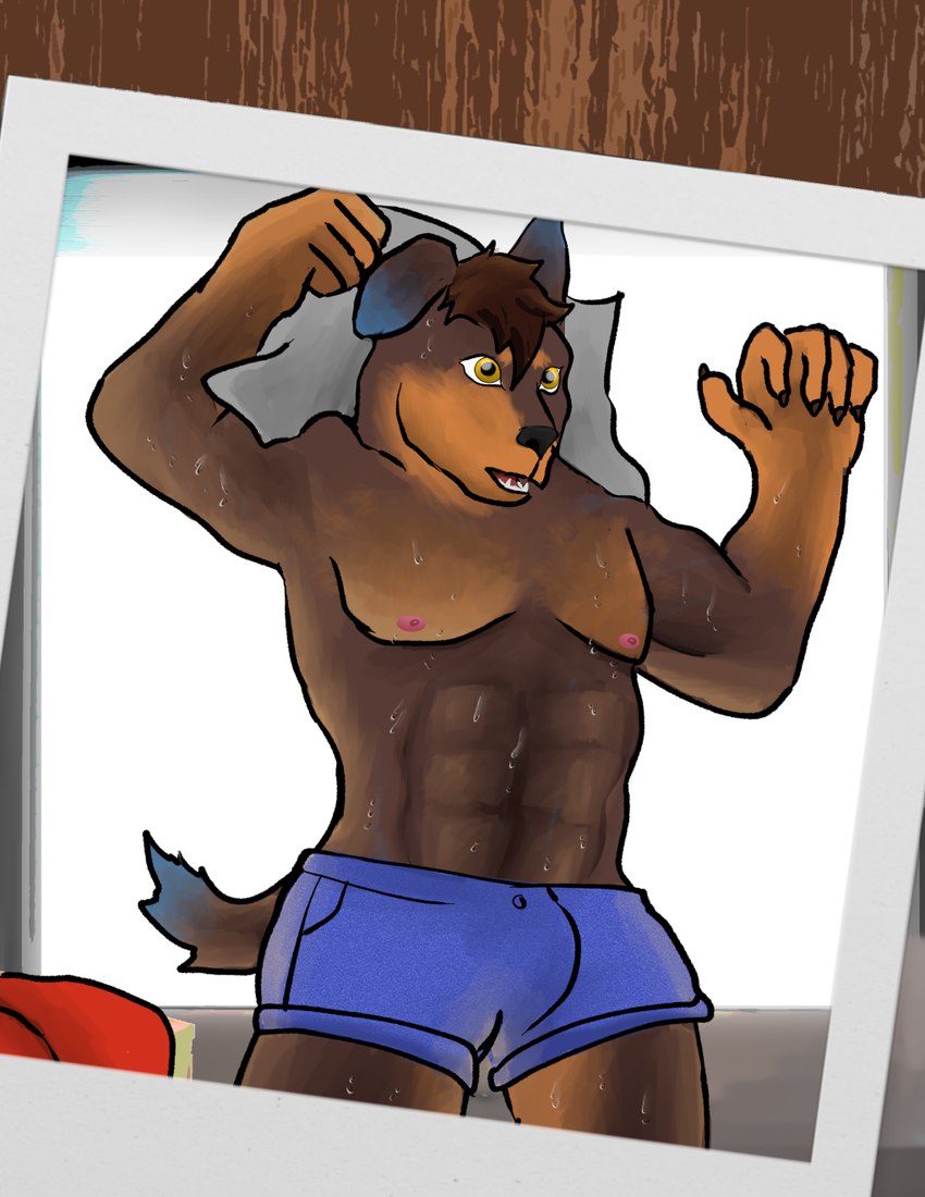 abs amber_eyes anthro big_muscles bodily_fluids bottomwear clothed clothing hotpants male male_anthro muscular muscular_anthro muscular_male open_mouth shorts shorts_only solo sweat sweatdrop tail teeth topless topless_anthro topless_male undressing wet awolfwithglasses canid canine canis dobermann domestic_dog mammal pinscher hi_res