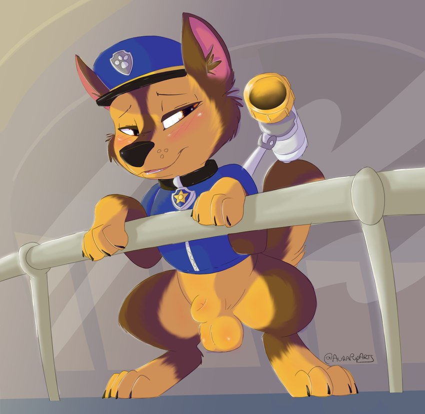 animal_genitalia balls blush clothing collar feral fully_sheathed fur genitals hair leaning leaning_forward looking_at_viewer male penis police police_hat police_officer police_uniform railing sheath solo tail tongue uniform y_sheath_opening young young_feral aurapuparts nickelodeon paw_patrol chase_(paw_patrol) canid canine canis domestic_dog german_shepherd herding_dog mammal pastoral_dog absurd_res digital_media_(artwork) hi_res