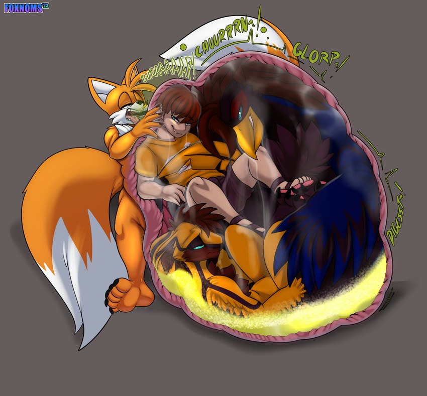 anthro belly big_belly bodily_fluids burping digestion digestion_noises fatal_vore feet fur group internal large_prey male male_pred male_prey oral_vore orange_body organs soles stomach stomach_acid vore yellow_body yellow_fur foxynoms sega sonic_the_hedgehog_(series) miles_prower avali avian bird canid canine fox human humanoid mammal hi_res