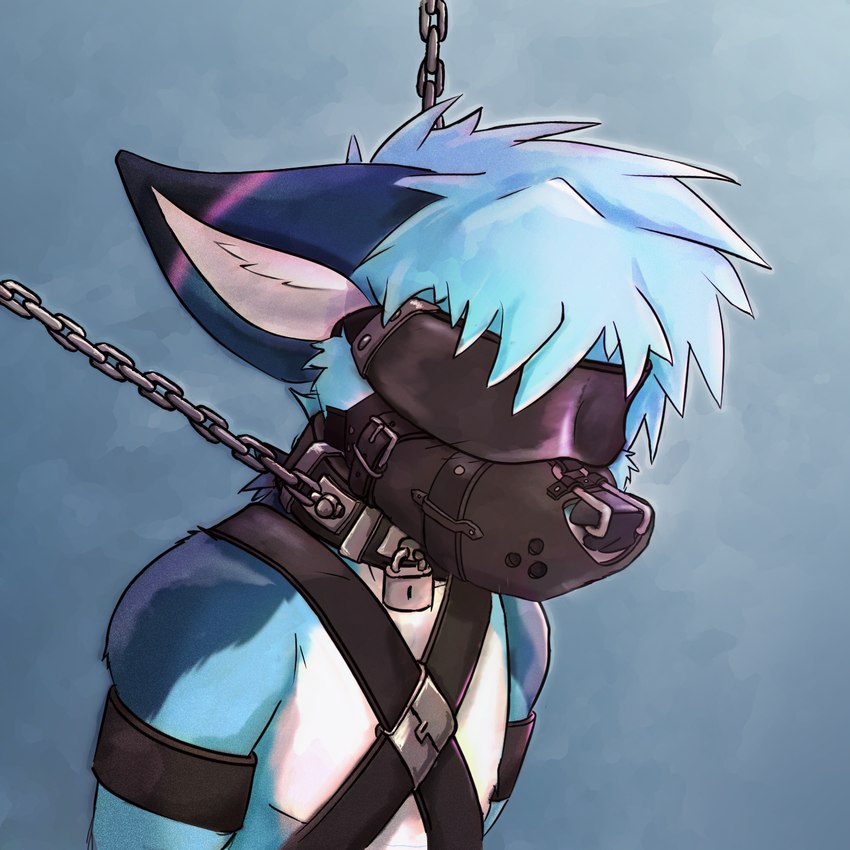 anthro arm_markings bdsm blindfold blue_body blue_fur blush bondage bondage_gear bondage_gear_only bound chain chain_leash chest_harness collar countershade_tail countershading cuff_(restraint) dipstick_ears ear_markings fur hair harness inner_ear_fluff leash leather leather_cuffs leather_harness leather_strap lock male markings multicolored_ears muzzle_(object) muzzled nose_hook padlock padlocked_collar restrained restraints shoulder_markings simple_background solo straps submissive submissive_male tail tuft white_body white_fur x_harness phrozt zee_(zfursee) canid canine fennec_fox fox mammal true_fox 1:1 digital_media_(artwork) hi_res