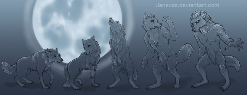 anthro basic_sequence biped black_nose claws feral feral_to_anthro five_frame_image five_frame_sequence full_moon fur linear_sequence male moon multi_frame_sequence quadruped quadruped_to_biped solo transformation transformation_sequence lylas canid canine canis mammal wolf black_and_blue hi_res monochrome sequence