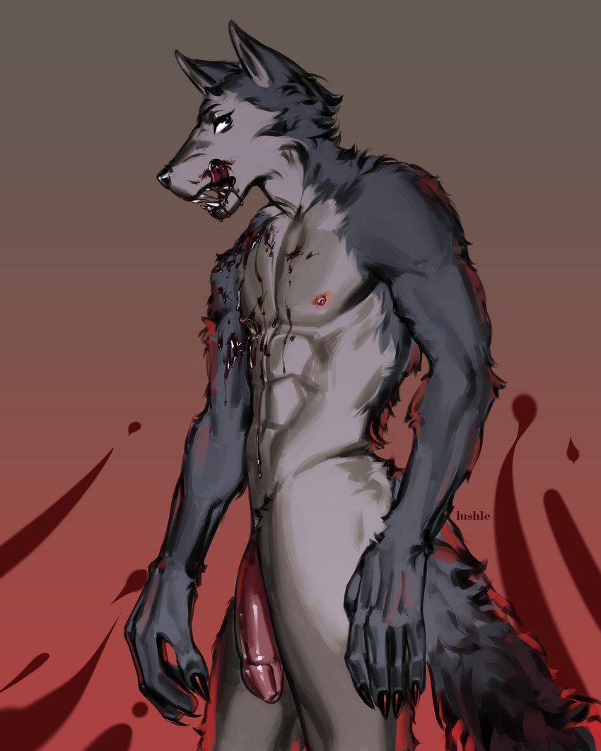 abs anthro athletic athletic_anthro athletic_male blood bodily_fluids claws flaccid fur genitals grey_body grey_fur licking licking_lips licking_own_lips male nude pecs penis self_lick side_view solo standing tongue tongue_out lushle beastars legoshi_(beastars) canid canine canis mammal wolf 2019 4:5 absurd_res hi_res portrait three-quarter_portrait