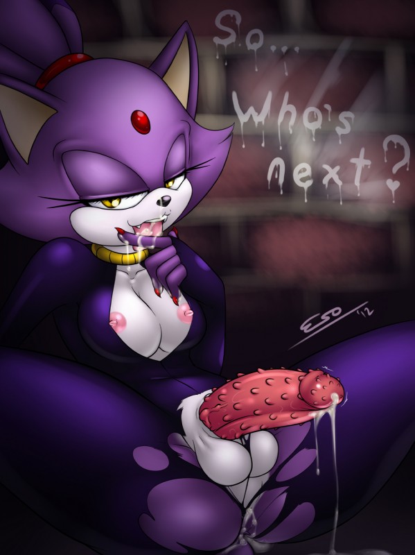 blaze the cat (sonic the hedgehog (series) and etc) created by pherociouseso