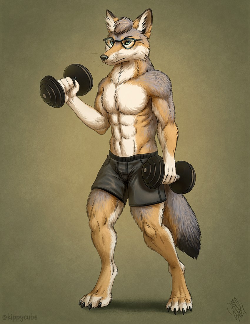 4_toes 5_fingers abs anthro barefoot black_nose bottomwear claws clothed clothing digitigrade dipstick_tail dumbbell exercise eyewear feet fingers fur glasses green_eyes head_tuft holding_dumbbell inner_ear_fluff looking_at_viewer male markings multicolored_body multicolored_fur muscular muscular_anthro muscular_male paws pointy_ears prick_ears shorts shorts_only simple_background solo tail tail_markings tan_body tan_fur toe_claws toes topless topless_anthro topless_male tuft ventral_groove wearing_glasses weightlifting weights whisker_spots whiskers workout kippycube canid canine canis coyote mammal 2025 digital_media_(artwork) signature watermark