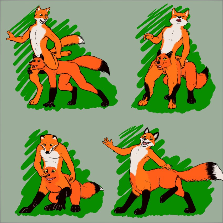 anthro anthro_to_taur base_two_layout basic_sequence belly belly_markings black_nose duo four_frame_image four_frame_sequence four_frame_staggered_grid fur head_between_thighs horizontal_staggering leg_markings male male/male markings merging nude orange_body orange_fur socks_(marking) staggering_(layout) transformation transformation_sequence two_row_layout yellow_eyes menagerie canid canid_taur canine canine_taur fox fox_taur mammal mammal_taur taur 1:1 hi_res sequence