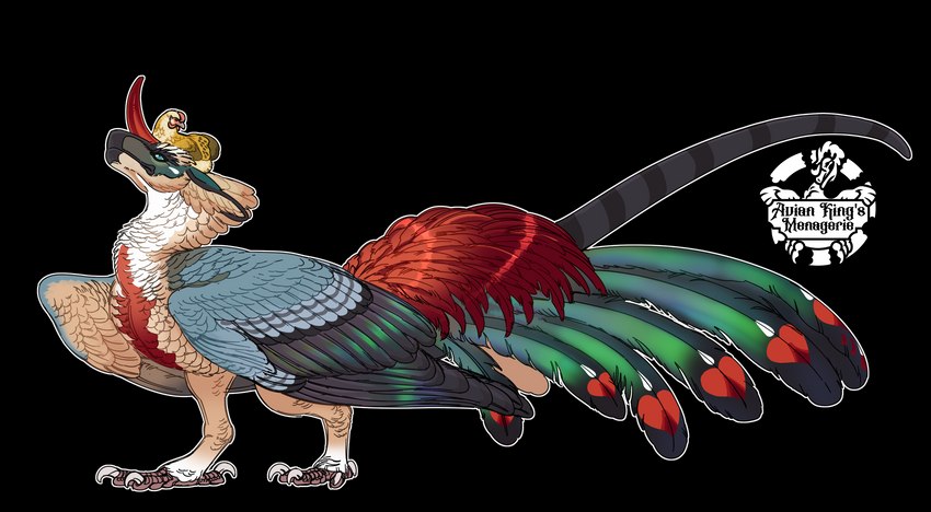 beak biped claws duo feathered_wings feathers female feral horn simple_background size_difference tail transparent_background wings avian-king european_mythology mythology avian bird chicken dragon galliform gallus_(genus) mythological_creature mythological_scalie phasianid scalie western_dragon wyvern alpha_channel hi_res