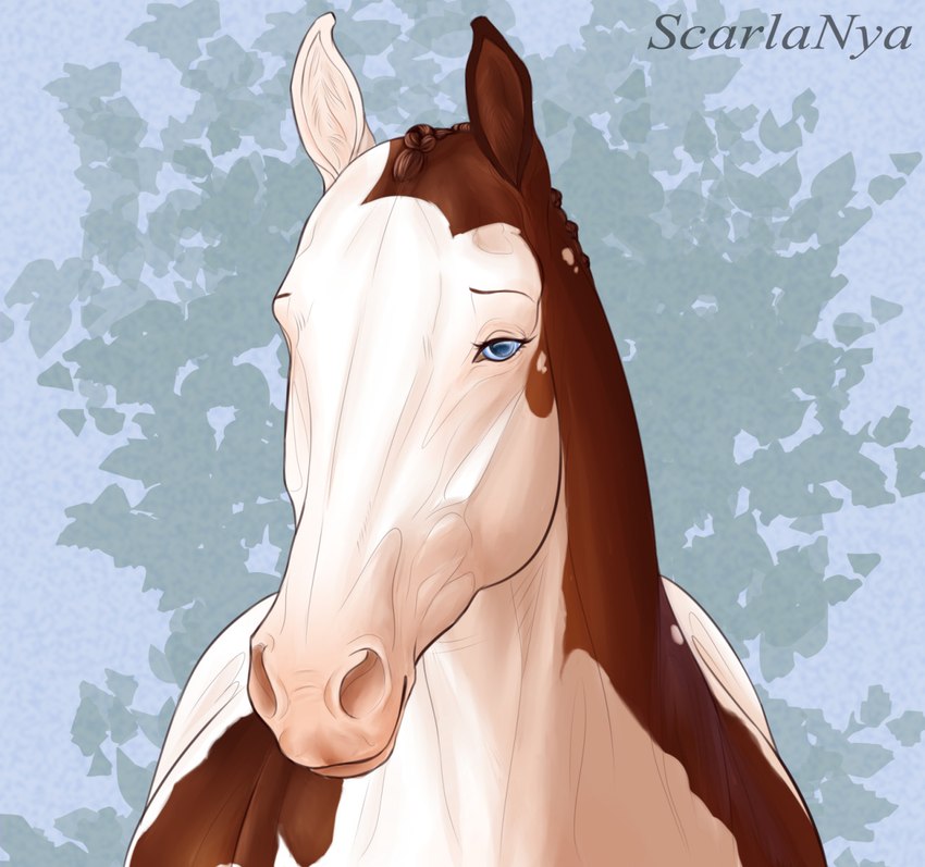 abstract_background ambiguous_gender blue_eyes braided_mane brown_body feral mouth_closed solo white_body scarlanya scarla_(scarlanya) equid equine horse mammal artist_name hi_res female_(lore)