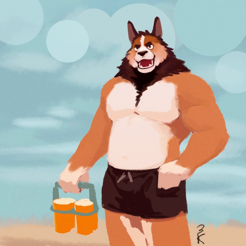 anthro beach bottomwear brown_hair chest_tuft clothed clothing fur hair male mane multicolored_body multicolored_fur muscular muscular_male overweight overweight_male seaside solo swimming_trunks swimwear topless topless_male tuft two_tone_body two_tone_fur 3000vnd canid canine canis domestic_dog mammal 1:1 hi_res