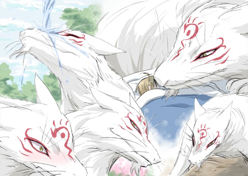 duo feral fur male multiple_poses pose size_difference smaller_male white_body white_fur unknown_artist natsume's_book_of_friends madara_(natsume_yuujinchou) takashi_natsume canid canine canis fox human mammal wolf