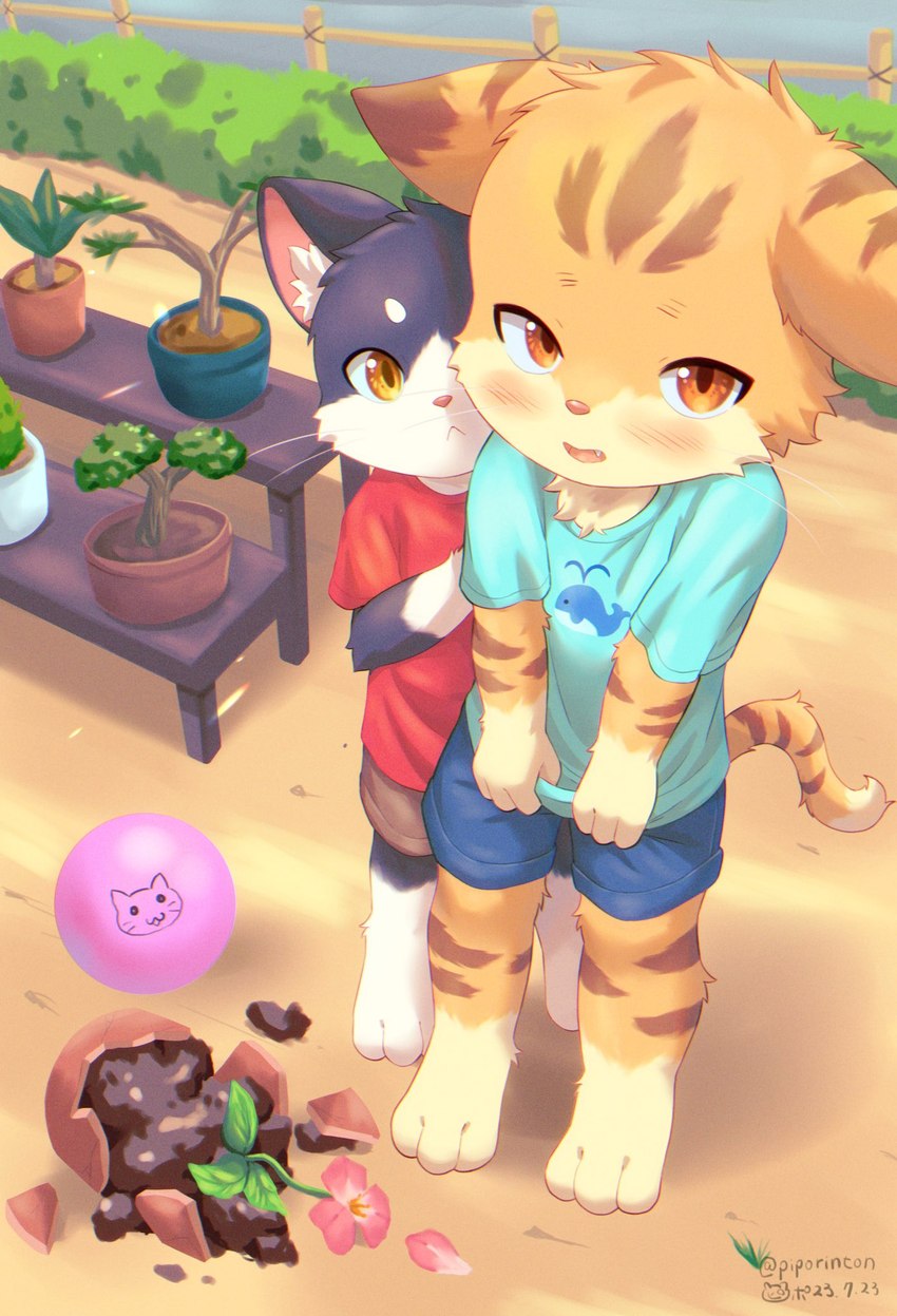 anthro ball broken_vase clothed clothing detailed_background duo looking_at_viewer male male/male open_mouth shy standing vase young young_anthro young_male piporinton domestic_cat felid feline felis mammal 2023 artist_name hi_res