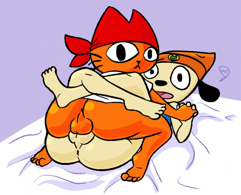 anthro anus balls balls_touching beanie bed bottomless butt clothed clothing duo fingers fur furniture genitals hand_holding hat headgear headwear interlocked_fingers kerchief leg_wrap legs_around_partner looking_at_viewer lying male male/male on_back orange_body orange_fur perineum pupils simple_background topwear whiskers mdjoe parappa_the_rapper rakugakids sony_corporation sony_interactive_entertainment captain._cat._kit. parappa canid canine canis domestic_cat domestic_dog felid feline felis mammal 2020 aliasing digital_drawing_(artwork) digital_media_(artwork)