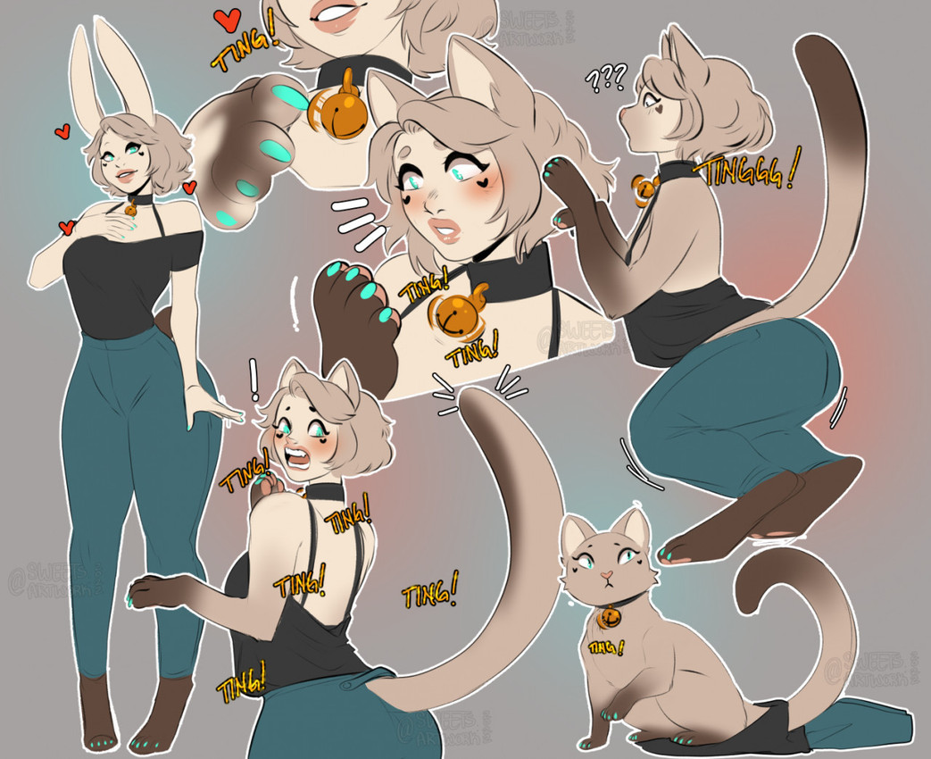 barefoot bell bell_collar black_clothing black_topwear blush bottomwear breasts claws clothing collar feet female feral grey_body heart_symbol humanoid_to_feral looking_back open_mouth pants simple_background smile solo species_transformation standing tail topwear transformation sweetburn sweets_remivas_(sweetburn) animal_humanoid domestic_cat felid feline felis humanoid lagomorph lagomorph_humanoid leporid_humanoid mammal mammal_humanoid rabbit_humanoid 2022 digital_media_(artwork)