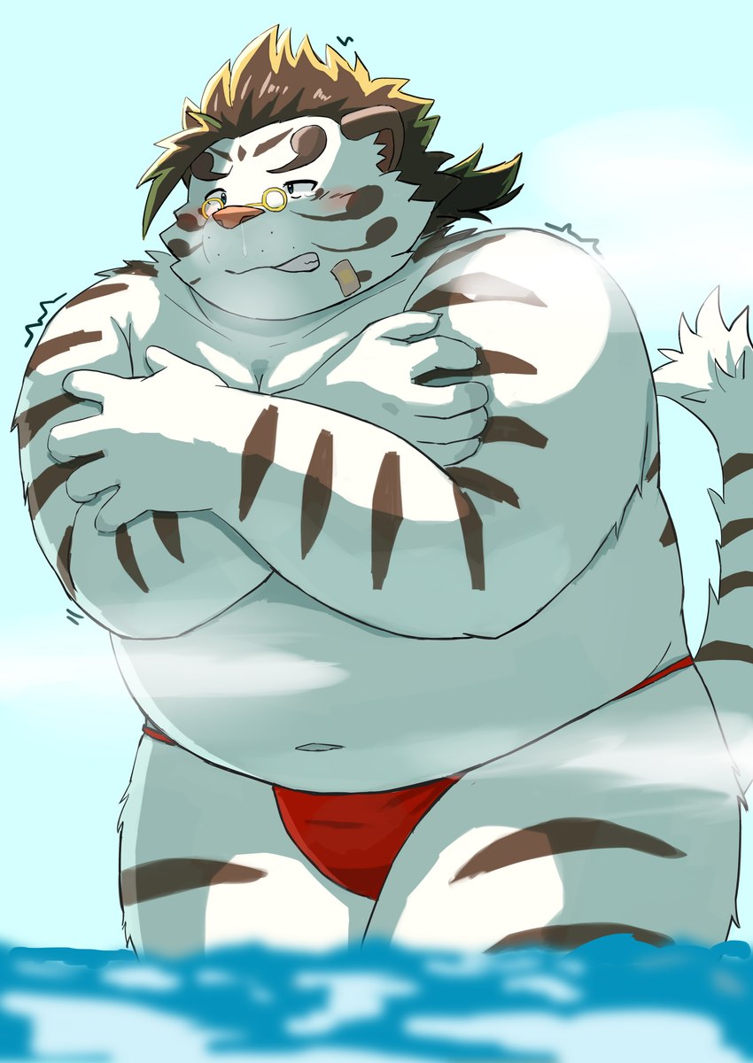 anthro asian_clothing band-aid bandage belly big_belly blush clothing east_asian_clothing fundoshi japanese_clothing kemono male navel overweight overweight_male red_clothing red_fundoshi red_underwear solo underwear water white_body 9dtq0 lifewonders tokyo_afterschool_summoners licho_(tas) felid mammal pantherine tiger 2024 absurd_res hi_res