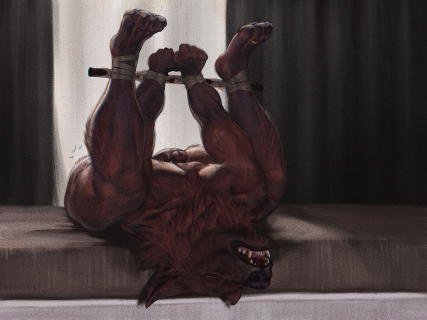 anthro arms_tied bdsm bed bedroom biceps black_nose bondage bound brown_body brown_fur butt claws dark_body dark_fur erection fangs feet fur furniture genitals half-closed_eyes humanoid_genitalia humanoid_penis legs_tied legs_up lying lying_on_bed male muscular muscular_anthro muscular_arms muscular_legs muscular_male narrowed_eyes nipples nude on_back on_bed open_mouth pawpads paws pecs penis raised_arms raised_leg red_body red_fur restraints solo spread_legs spreader_bar spreading submissive teeth toes tongue epic_soul canid canine canis mammal red_wolf wolf 4:3 digital_media_(artwork) hi_res