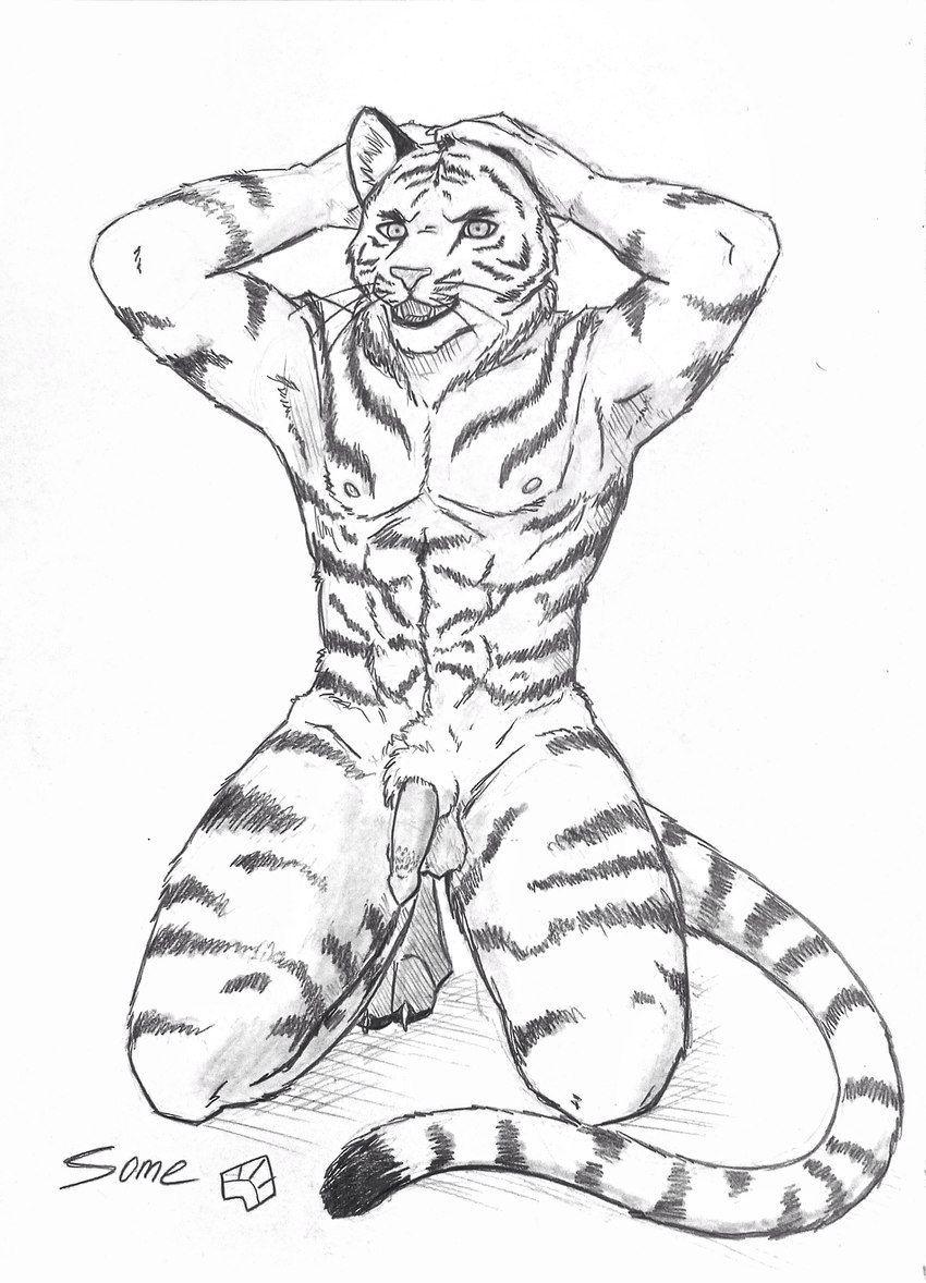 anthro balls fangs genitals hand_on_head holding_head kneeling male nipples nude open_mouth penis short_fur simple_background solo tail teeth whiskers white_background some_(someone) felid mammal pantherine tiger absurd_res graphite_(artwork) hi_res traditional_media_(artwork)