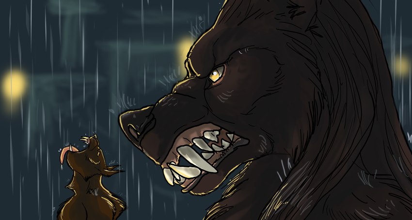 anthro bared_teeth black_body black_fur blurred_background brown_body brown_fur derpy duo fur hair lights long_hair looking_up male open_mouth raining sharp_teeth teeth yellow_eyes moonshiftmnstrs mythology van_helsing canid canine mammal mythological_canine mythological_creature werecanid werecanine werecreature werewolf absurd_res hi_res meme