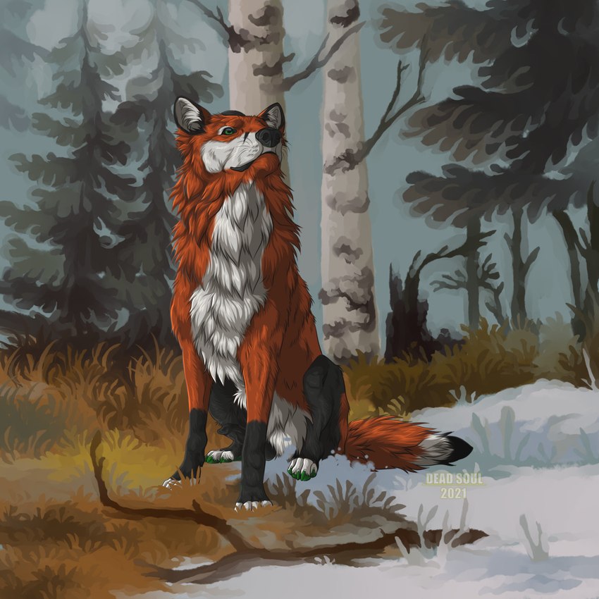 ambiguous_gender black_markings black_tail cheek_tuft chest_tuft facial_tuft feral fur grass green_eyes leg_markings markings mouth_closed neck_tuft orange_body orange_fur orange_tail outside plant sitting snow socks_(marking) solo tail text tree tuft white_body white_fur white_tail msdeadsoul cogfoxz canid canine mammal 1:1 2021 artist_name dated hi_res