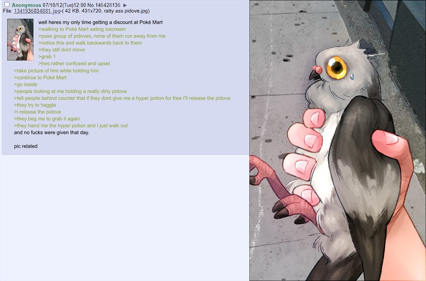 3_toes 5_fingers ambiguous_gender avian_feet beak black_beak black_body black_feathers black_tail bodily_fluids cere_(anatomy) claws concrete disembodied_hand duo feathers feet feral fingernails fingers glistening glistening_eyes greentext_(format) grey_body grey_feathers holding_another humor light_body light_skin multicolored_body multicolored_feathers multicolored_wings nails nervous nervous_sweat open_beak open_mouth outside profanity pupils side_view solo_focus sweat tail tail_feathers talons text toe_claws toes white_body white_feathers wings yellow_eyes yellow_sclera nark 4chan nintendo pokemon generation_5_pokemon human mammal pidove pokemon_(species) 2022 digital_drawing_(artwork) digital_media_(artwork) english_description english_text full-length_portrait portrait redraw shaded