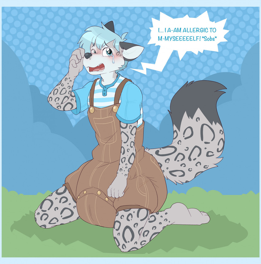 5_fingers ambiguous_gender anthro blue_border blue_clothing blue_hair blue_shirt blue_topwear blush blush_lines bodily_fluids border brown_clothing brown_overalls button_(fastener) clean_diaper clothed clothing crying dialogue diaper diaper_under_clothing dipstick_tail dotted_background fangs fingers fur grass grey_body grey_ears grey_fur grey_nose grey_spots grey_tail grey_tail_tip hair hand_on_face kneeling leopard_spots markings open_mouth overalls pattern_background pattern_clothing pattern_shirt pattern_topwear plant pointy_speech_bubble shirt simple_background snot solo speech_bubble spots spotted_body spotted_fur spotted_markings spotted_tail striped_clothing striped_shirt striped_topwear stripes tail tail_markings tears teeth text three-quarter_view topwear wearing_diaper white_body white_fur white_inner_ear bubblepuppers greypupbw canid canine canis felid hybrid mammal pantherine snow_leopard wolf 2023 english_text full-length_portrait hi_res portrait