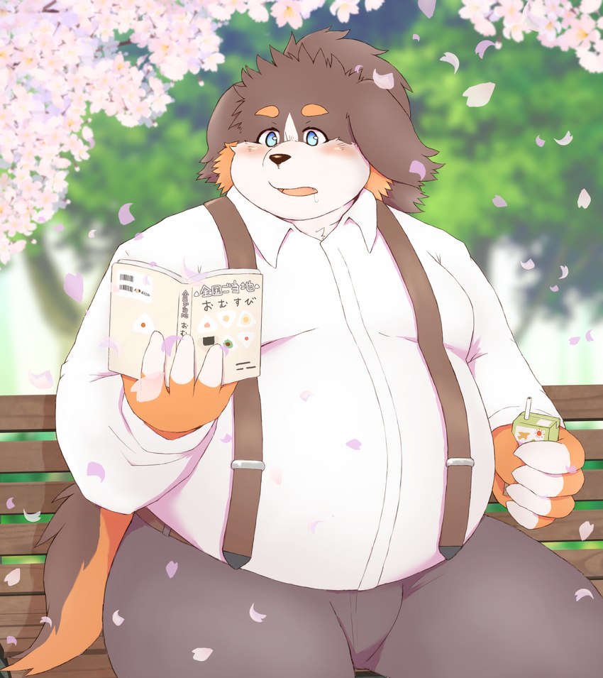 anthro belly big_belly black_body blue_eyes blush book bottomwear brown_body cherry_blossom cherry_blossom_tree cherry_tree clothing flower fruit_tree humanoid_hands kemono male overweight overweight_male pants plant prunus_(flower) reading shirt sitting solo suspenders topwear tree white_body ibuki_haruno bernese_mountain_dog canid canine canis domestic_dog mammal molosser mountain_dog swiss_mountain_dog 2022 hi_res