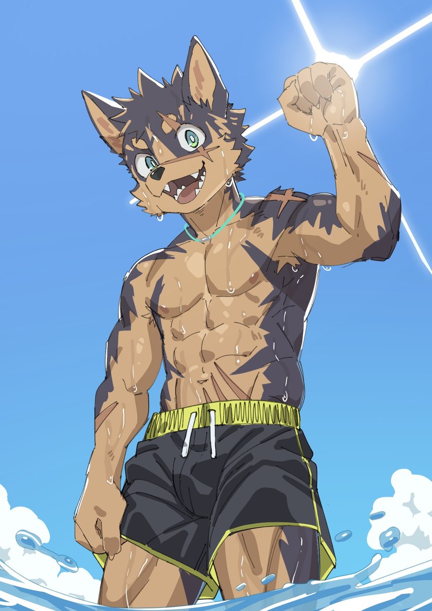 abs anthro biceps bulge clothed clothing male muscular muscular_male pecs scar sea solo swimming_trunks swimwear topless water wet leeksaltboy xiaozhuang_(leeksaltboy) canid canine canis domestic_dog mammal hi_res