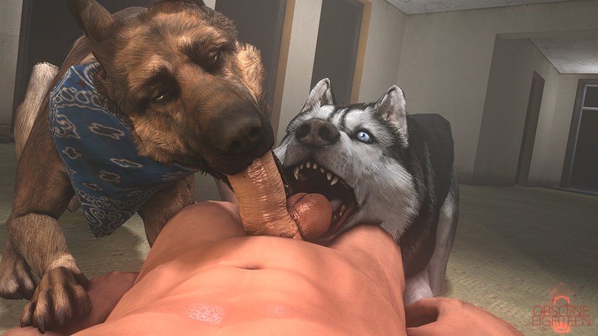 dogmeat (microsoft and etc) created by obsceneeighteensfm