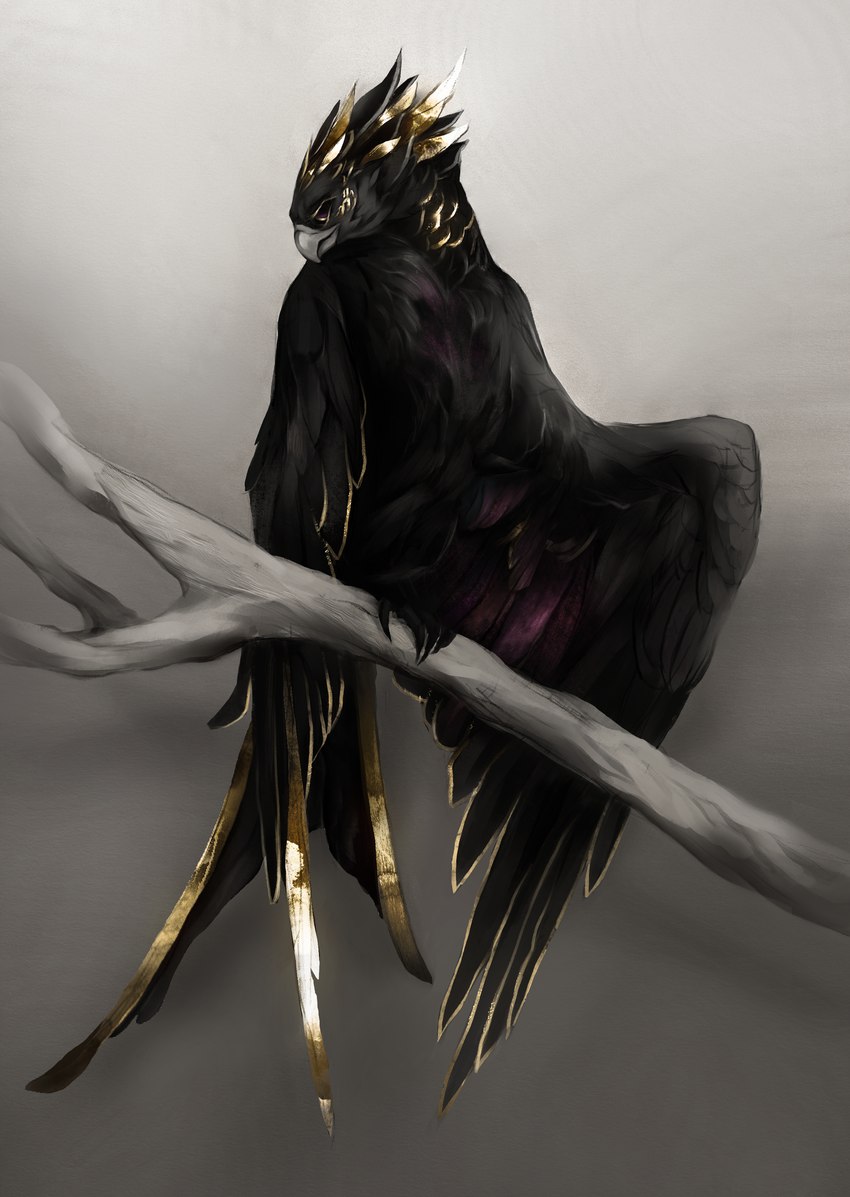 ambiguous_gender beak black_body branch feathers feet feral purple_body purple_feathers simple_background solo talons toes yellow_body yellow_feathers liit_alles kinryu_(aeternum) avian absurd_res hi_res