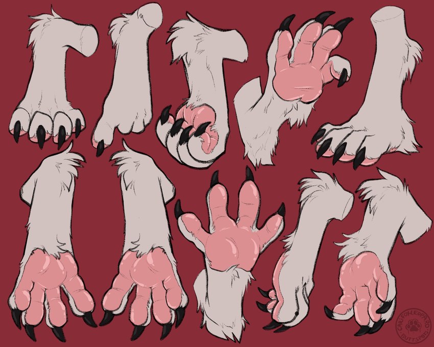 4_toes ankle_fluff anthro barefoot biped black_claws black_outline claws connected_pawpads curling_toes digitigrade feet fluffy fluffy_paws foot_focus foot_shot fur hindpaw male multiple_poses outline pawpads paws pink_pawpads pose red_background simple_background soles solo spread_toes text toe_claws toes white_body white_fur carifoxleopard cassius_(oldmancassius) mammal sergal 5:4 absurd_res artist_name digital_media_(artwork) english_text hi_res signature url