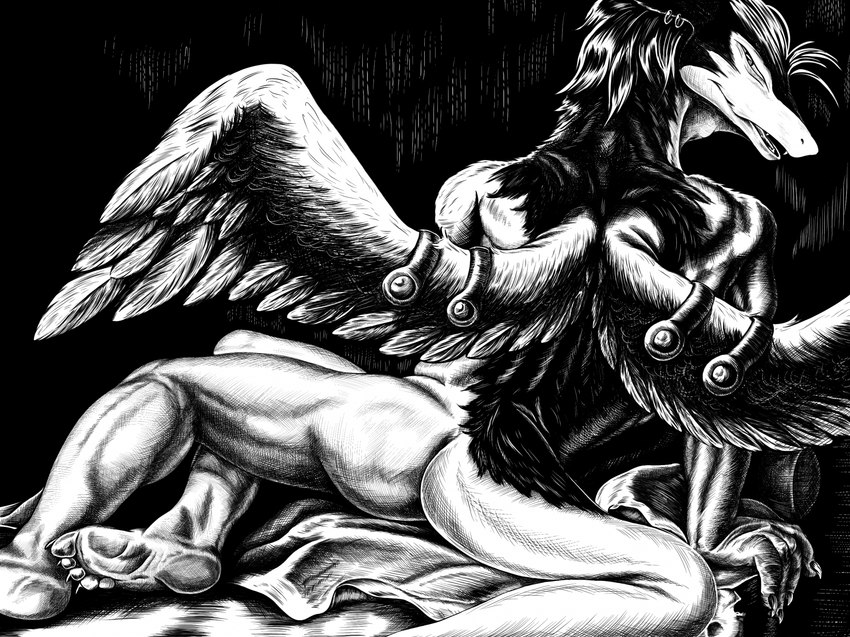 anthro butt feathered_wings feathers feet furgonomics furry-specific_piercing humanoid_feet looking_at_viewer looking_back looking_back_at_viewer male piercing plantigrade rear_view solo suggestive_pose tail wing_piercing wings sinful_ink_(artist) legendz mythology ranshiin dragon mythological_creature mythological_scalie scalie windragon digital_media_(artwork) hi_res monochrome