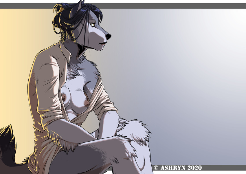 anthro bottomless breasts chest_tuft clothed clothing female fur grey_body grey_fur hair nipples open_clothing open_shirt open_topwear shirt sitting small_breasts solo topwear tuft ashryn canid canine canis mammal wolf