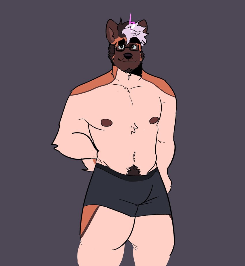 anthro black_boxer_briefs black_clothing black_underwear boxer_briefs brown_body brown_face brown_fur brown_nipples brown_pubes clothed clothed_anthro clothed_male clothing countershading eyewear front_view fur glasses hair hand_behind_back male multicolored_hair nipples orange_body orange_fur pink_hair pubes smile solo standing tan_body tan_countershading tan_fur topless topless_anthro topless_male two_tone_hair underwear melaisen bau_(melaisen) akita american_akita canid canine canis domestic_dog mammal spitz 2022 absurd_res digital_drawing_(artwork) digital_media_(artwork) hi_res portrait three-quarter_portrait nonbinary_(lore)