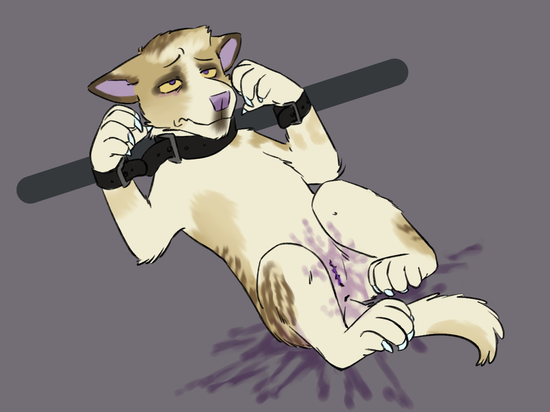 anus bdsm blood bodily_fluids bondage bound castration cock_and_ball_torture collar cuff_(restraint) feral fur genital_mutilation genital_torture gore hair leather leather_cuffs lying male mutilation null nullification restraints scar simple_background solo submissive submissive_male tail white_body yellow_eyes puppyratcat alien canid canine herpestid hybrid mammal meerkat xog