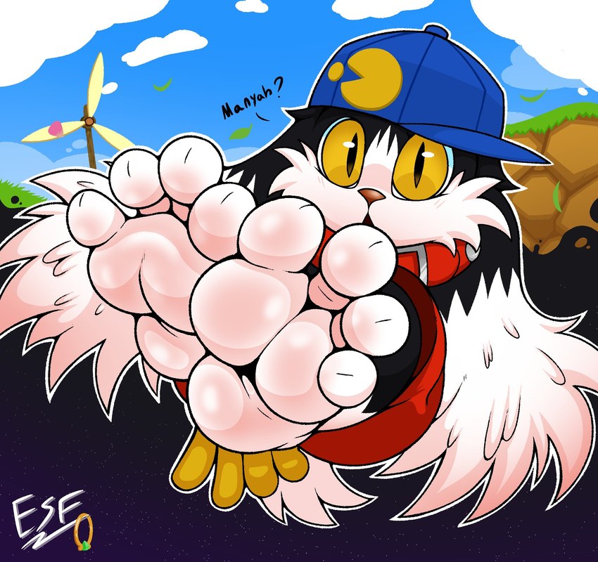 klonoa (klonoa (series) and etc) created by electricsnowfox