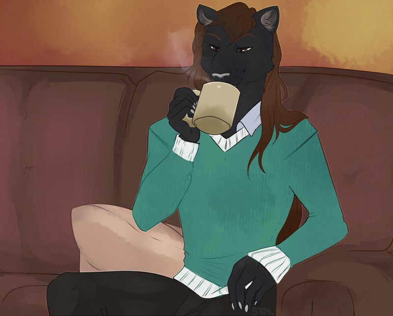 bottomwear brown_eyes brown_hair clothing container cup furniture hair long_hair male pants pillow sitting sofa solo sweater topwear sttmarts_(artist) maxroy_(character) felid feline mammal pantherine hi_res